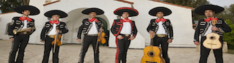 iStock_000014515969_Medium